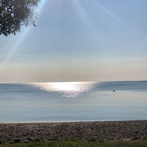 Meet your Posher, Zanna